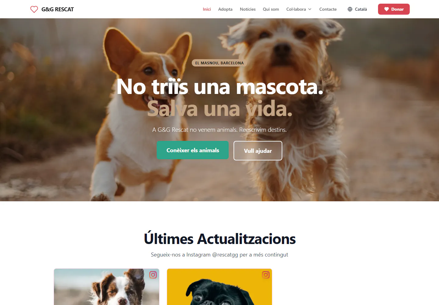 Captura de G&G Rescat